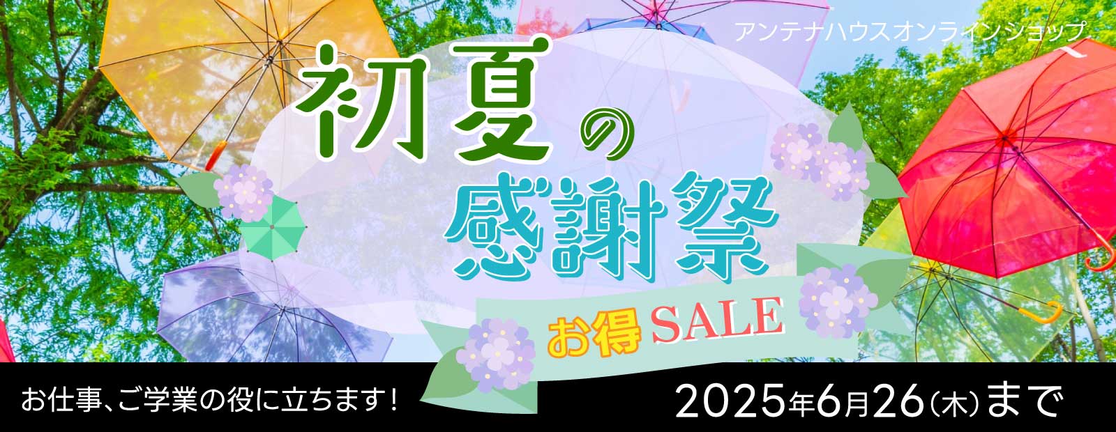 62万感謝セール